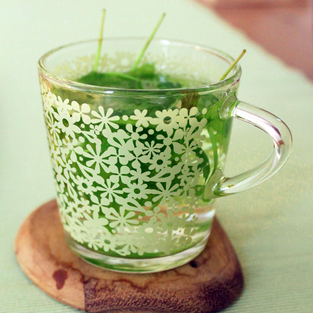 fresh-mint-tea-table-cropped